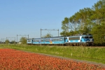 Afbeelding van Dinner Train Zwolle